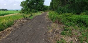 dirt path carved where new trail will run