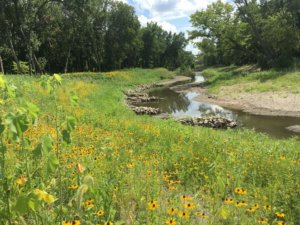 A restored stream with protected sanitary sewer infrastructure and improved ecological functions and stream habitat diversity.