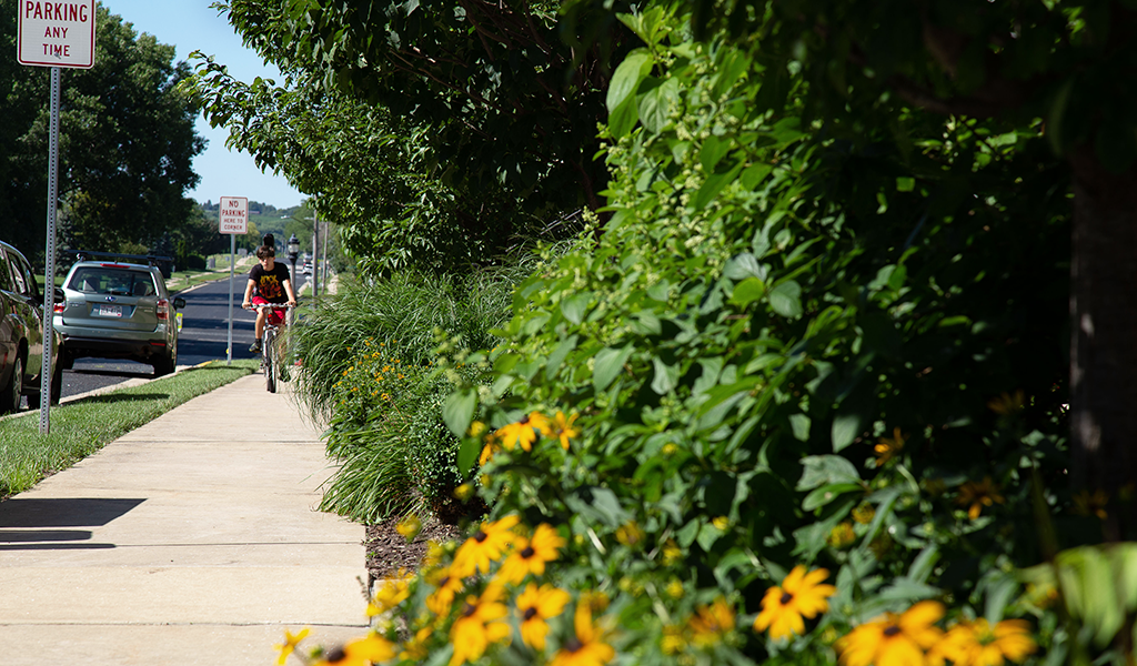 greenery and flowers lining sidewalk