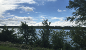 view of lake through trees