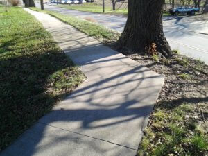 sidewalk turning before tree
