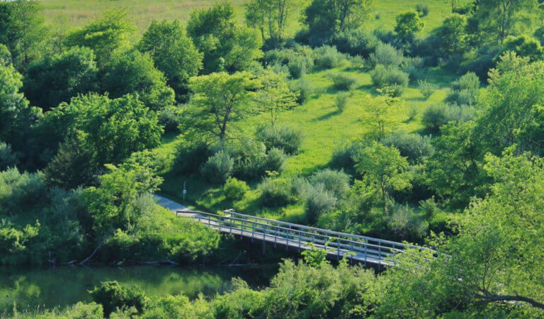 lush green aerial view of walking trail bridge