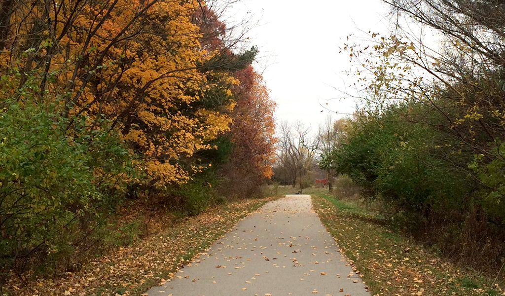 walking trail in the fall