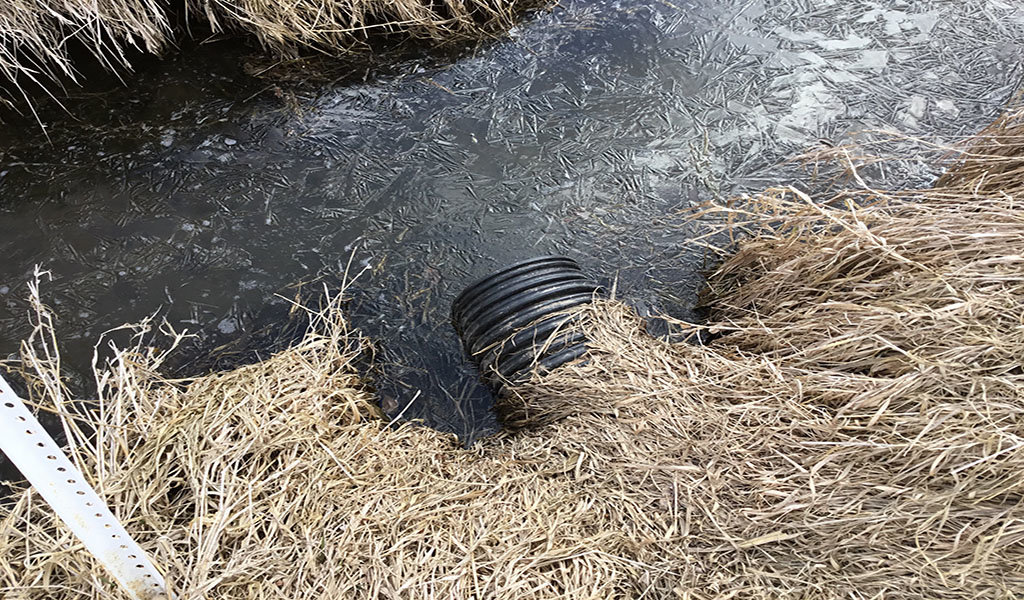 outlet pipe opens to small stream