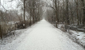 snow falling on trail segment