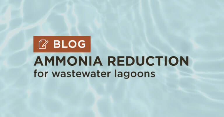 blue water background with title ammonia reduction for wastewater lagoons blog