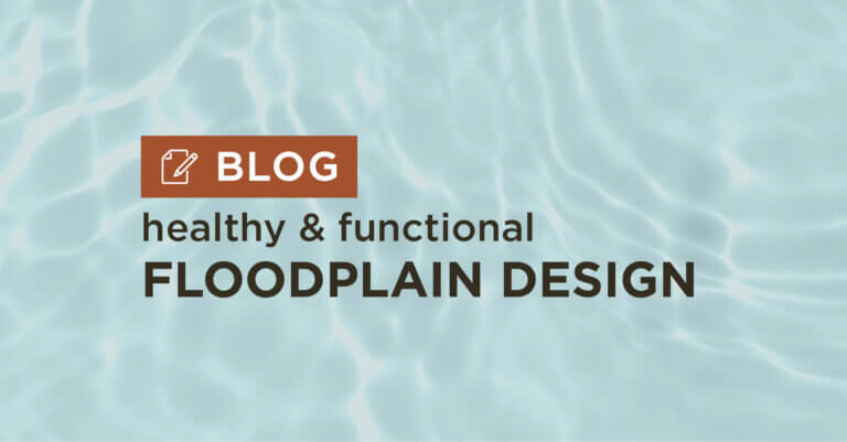 blue water background with title healthy and functional floodplain design blog