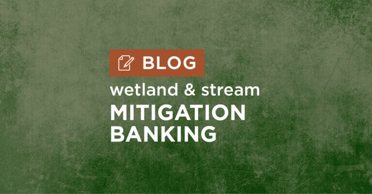 green background with title wetland and stream mitigation banking blog