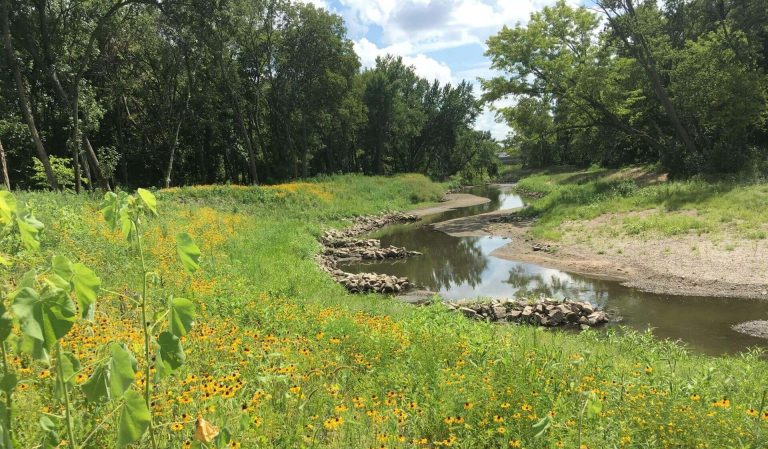 A restored stream with protected sanitary sewer infrastructure and improved ecological functions and stream habitat diversity.|||Man presenting on the stormwater management plan: Fourmile Creek Greenway Masterplan.