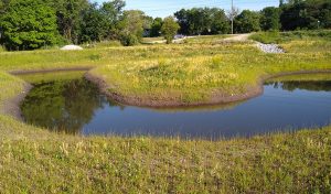 Wetland stream meanders