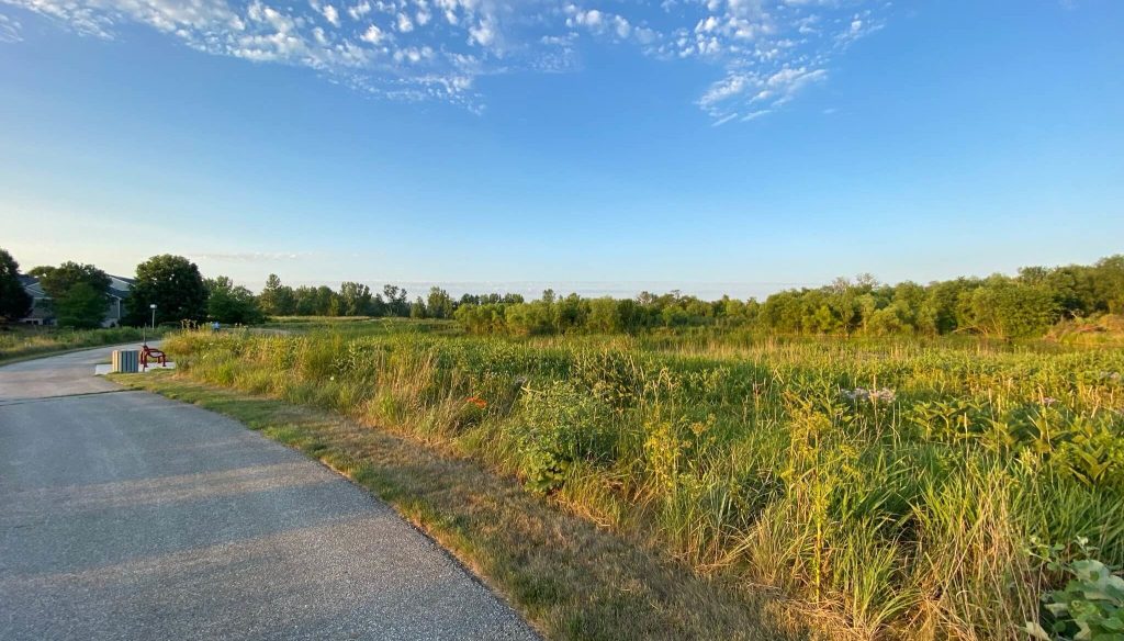 winding ada hayden trail alongside an established prairie area