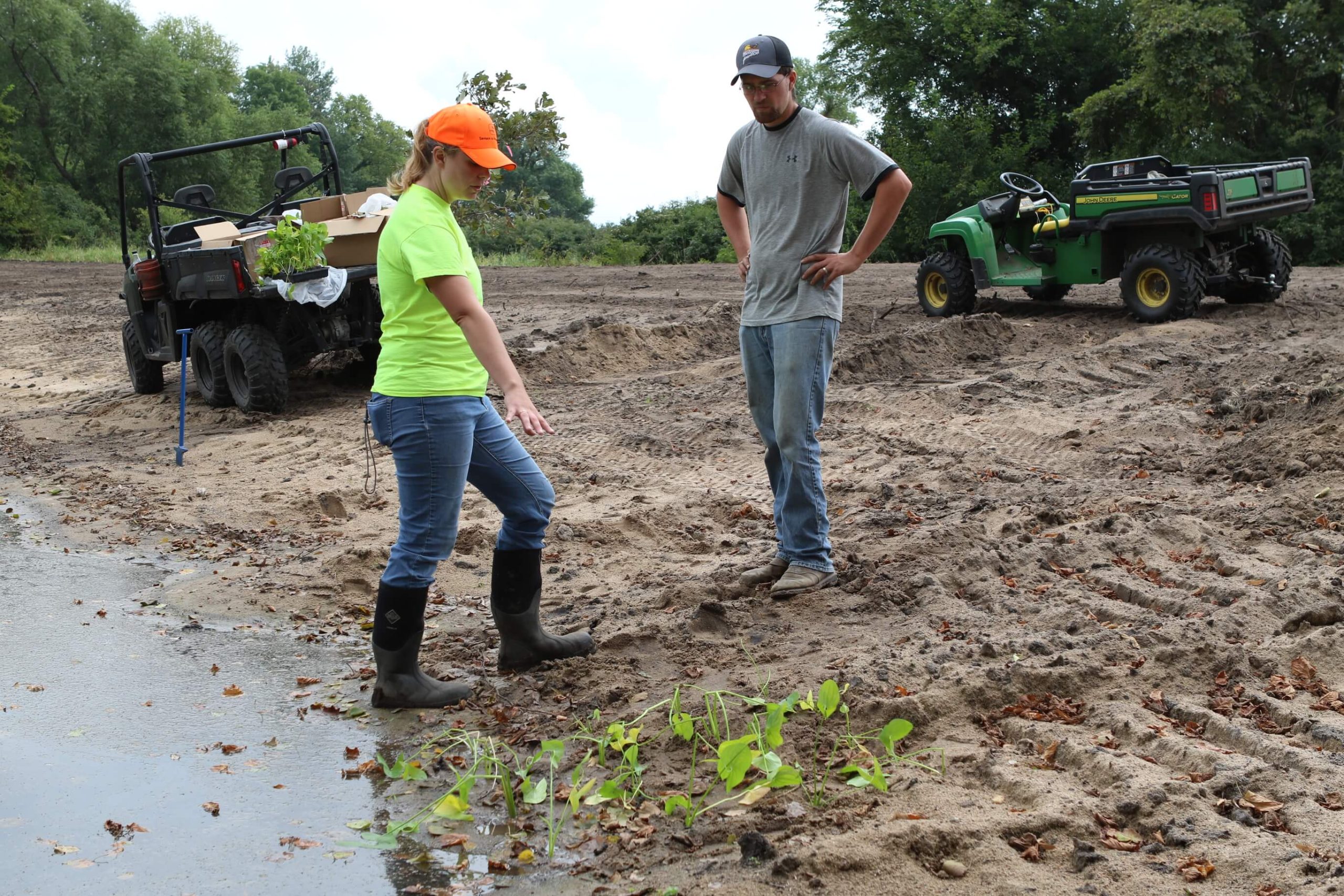 An image showing restoration of a riverbank using native plants.