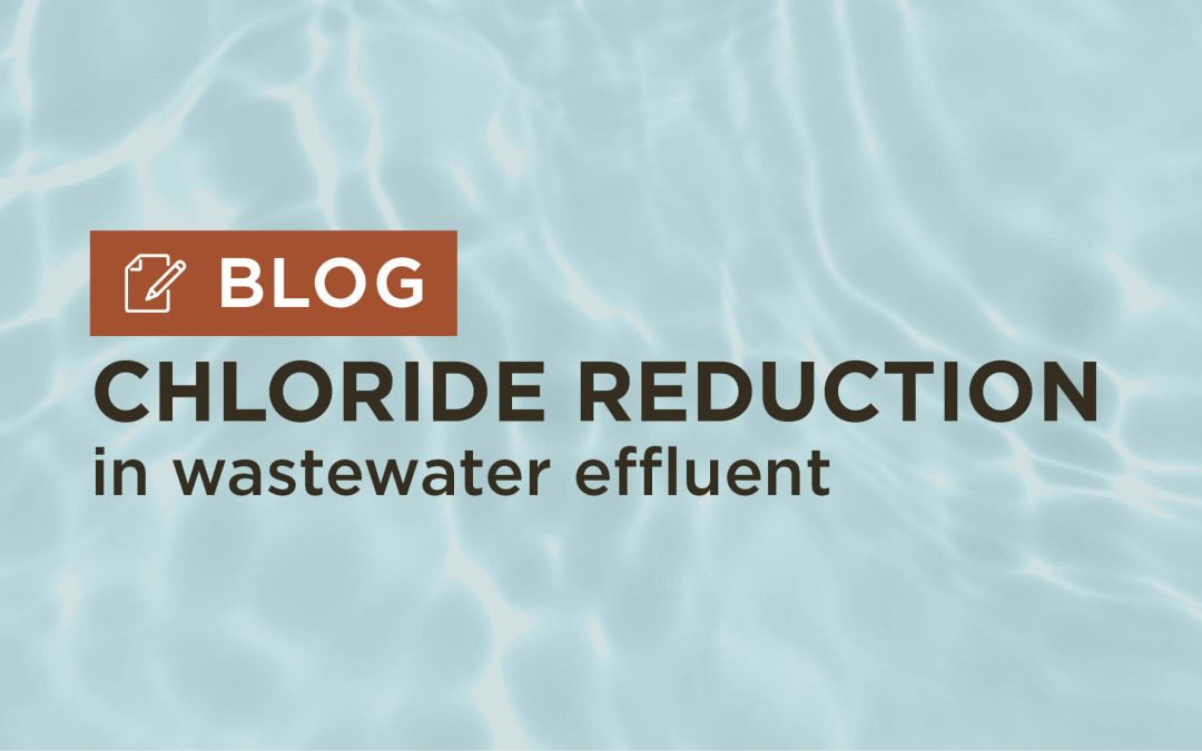 Water Softening & the Harmful Impacts on Wastewater Treatment