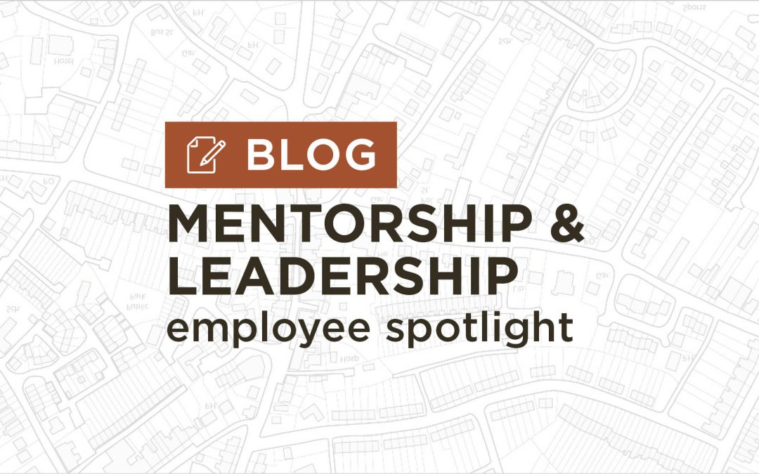 Transitions into Employee Mentorship & Project Leadership