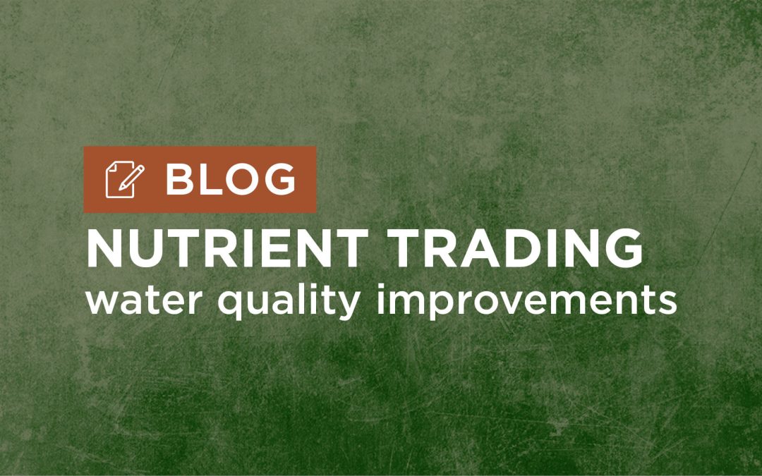 Nutrient Trading: A Sustainable Approach to Water Quality Improvement