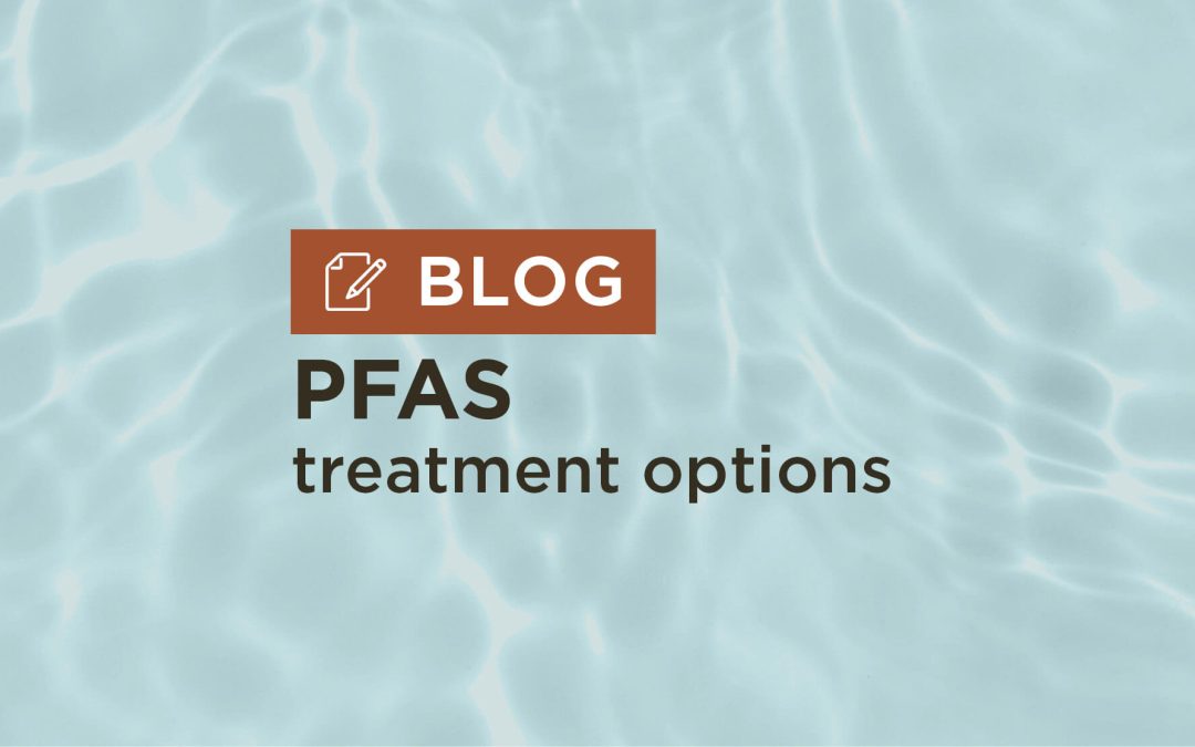 Avoiding Hidden Dangers from PFAS through Viable Treatment Options