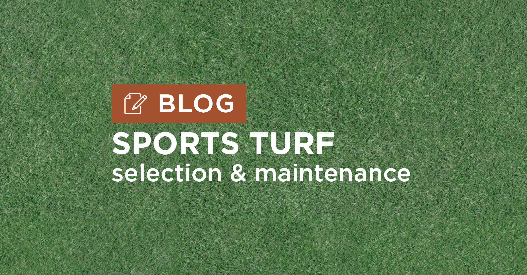 green grass background with title sports turf selection and maintenance blog graphic