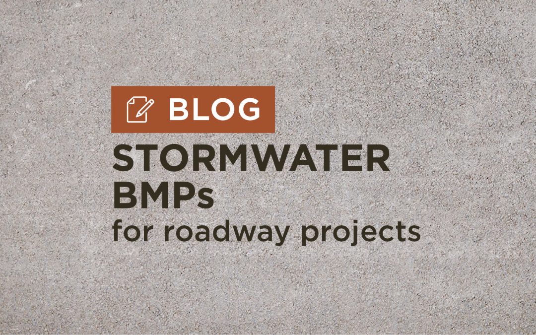 Stormwater Best Management Practices (BMPs) in Transportation Planning