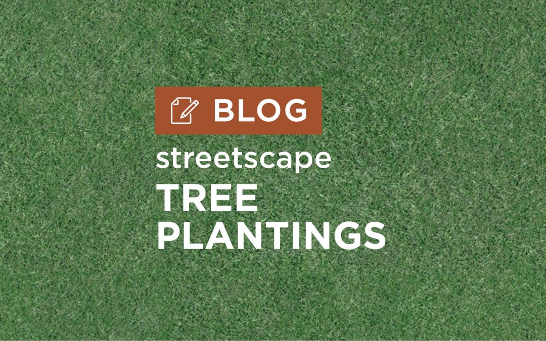Streetscape Tree Planting to Enhance Transportation Corridors