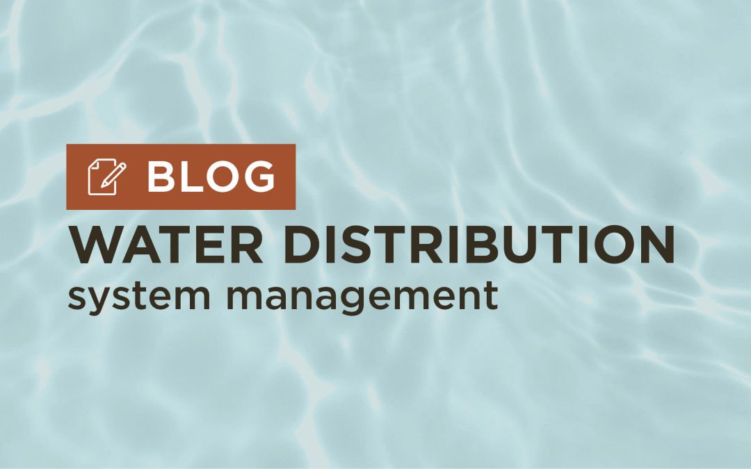 Understanding Community Water Distribution Systems
