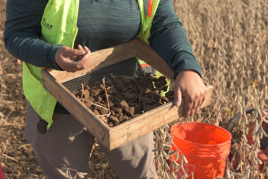 CFK_5449_Environmental_Gallery1