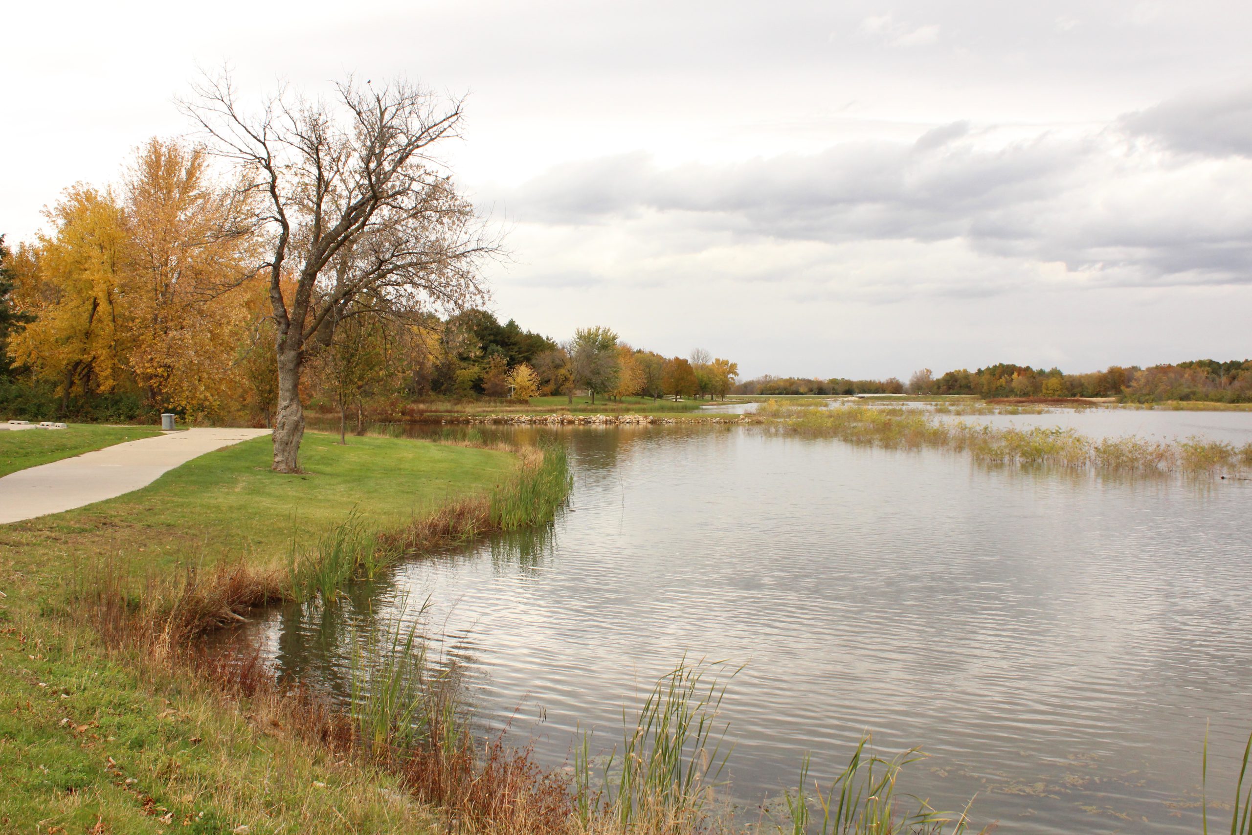 Wetlands of Easter Lake Trail