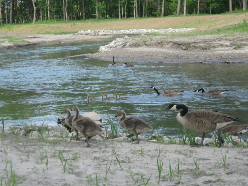 Environmental_Gallery3