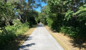 Large green plants and trees on either side of a bike trail
