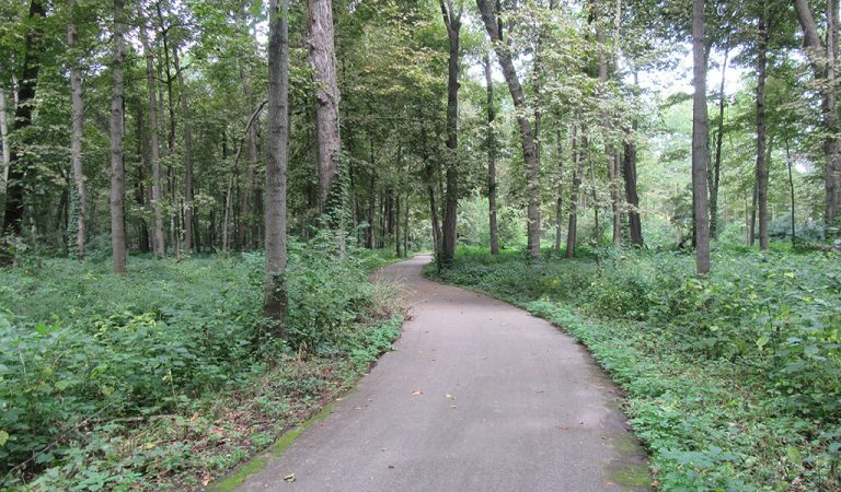 Bike trail winding through the green forest|Trail with black fencing one either side|Freshly paved trail goes uphill towards a tree line|Incomplete trail bridge|Map of the Rolling Prairie Trail System|Paving underway in the middle of a storm|Trail water drainage