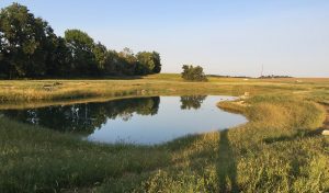 Wanatee pond project