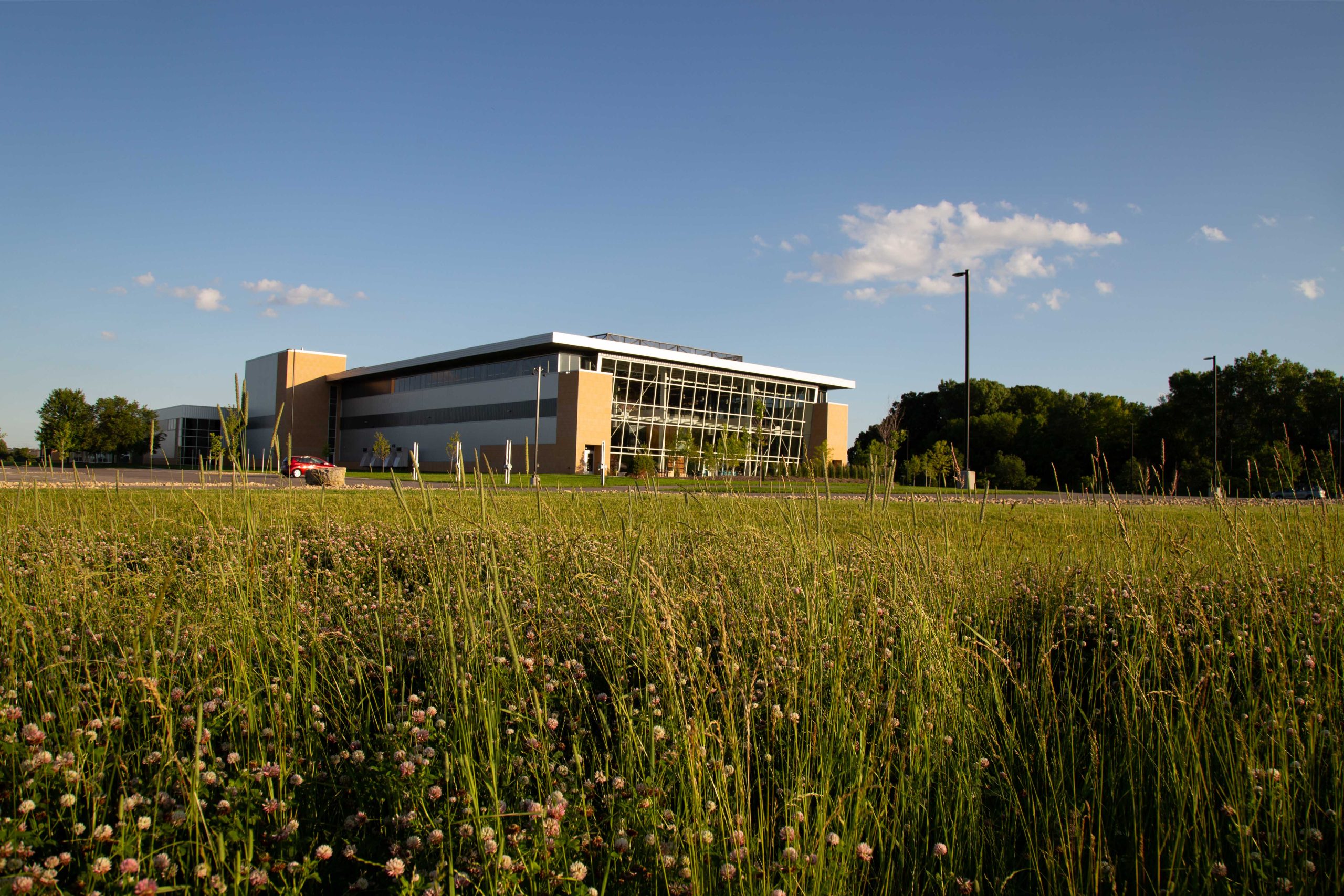 native plants outside of ETC building