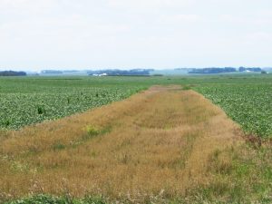 brown drainage area in the middle of a field
