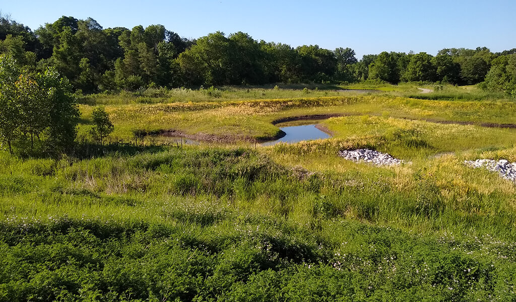 overlooking green wetland area with meandering stream|Fourmile wetland during construction||Wetland stream meanders|Fourmile creek map