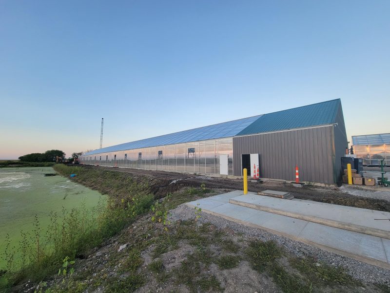 slater-greenhouse_Gallery1