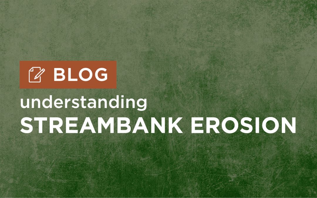 Real-World Solution in Action: Streambank Erosion Explained