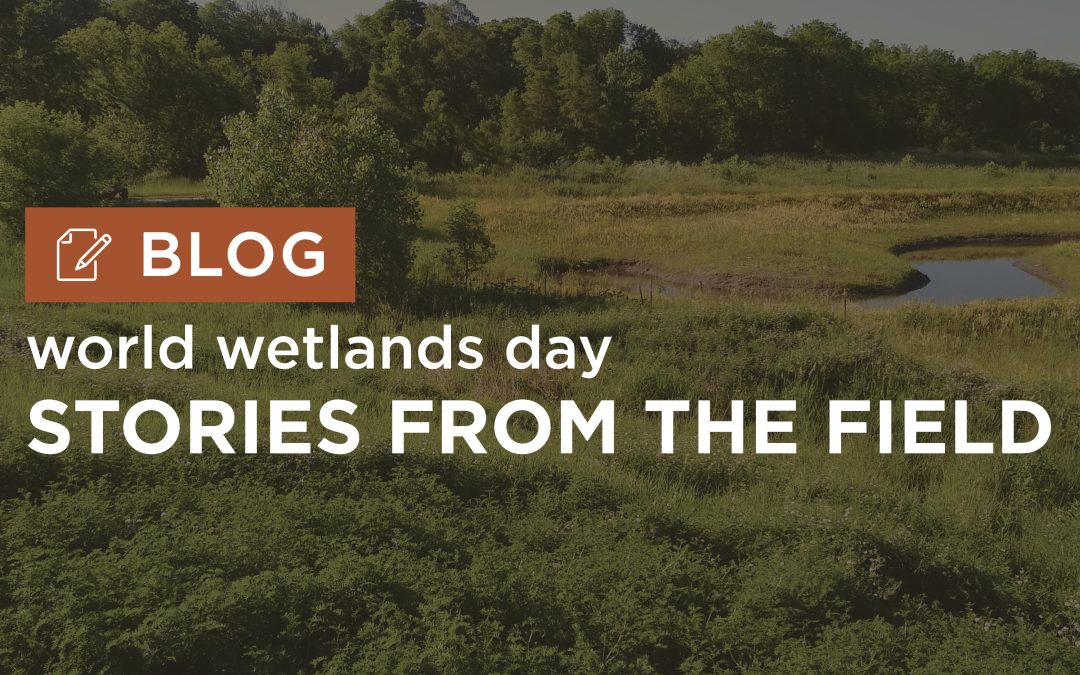 World Wetlands Day: Stories From the Field